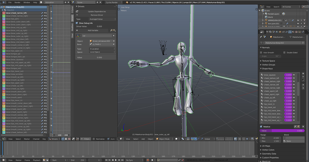 Mesh With Shape Keys And Armature Messed Up Animation And Rigging