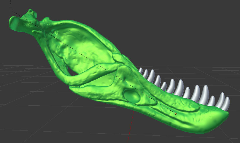 Updated Tyrannosaurus Skull And Foot W I P Page 3 Works In