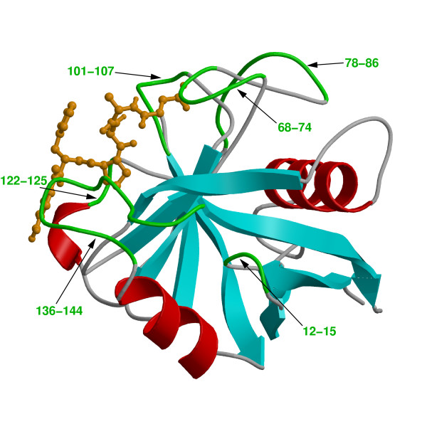 Alpha helix and 2024 beta sheet