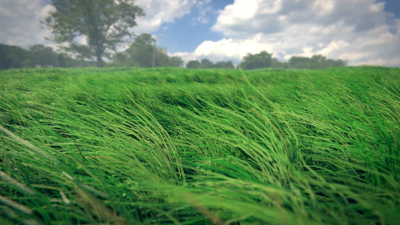 Realistic Animated Grass Field Cycles Tutorial! - Tutorials, Tips and  Tricks - Blender Artists Community