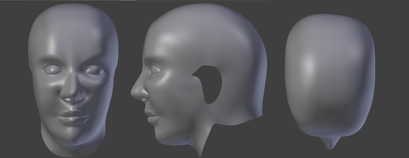 Help With My Head Model - Modeling - Blender Artists Community