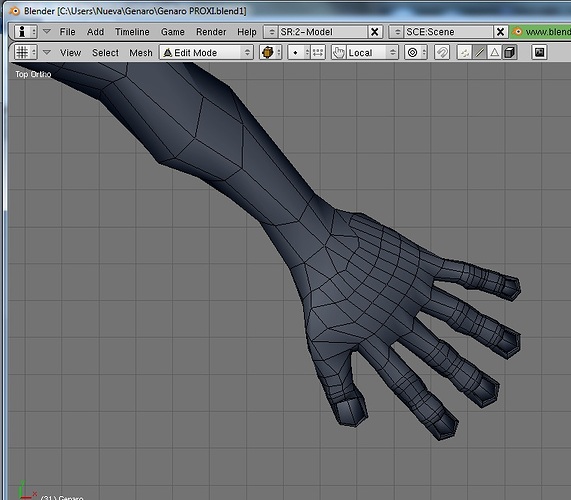 Questions regarding vertex display and proxy rigged meshes, please help ...