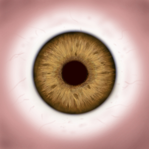 Missing Texture - Materials and Textures - Blender Artists Community