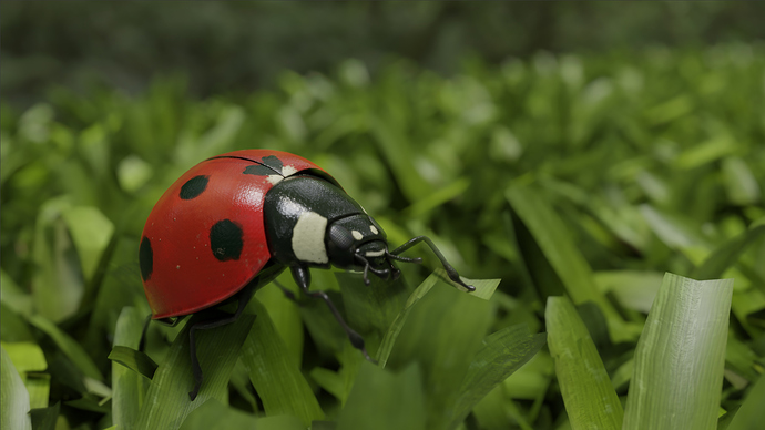 ladybug_scene