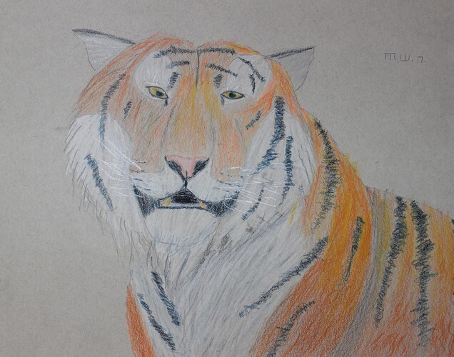 Colored Pencil Tiger