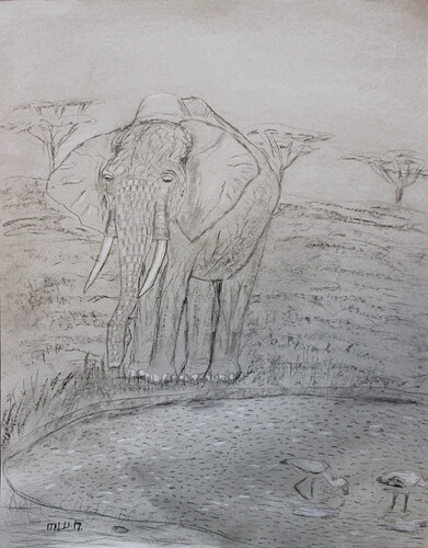 Elephant at Watering hole