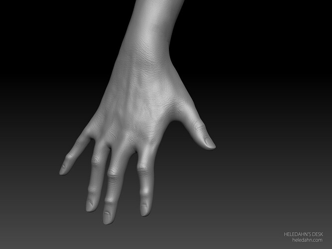 heledahn-new-skin-details-hand