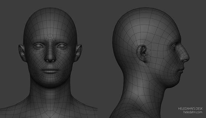 heledahn-base-mesh-face-animation-ready-deformations-loops-blender