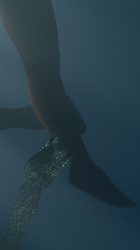 Seaweed drifting past a swimmer's foot underwater