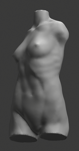 torso