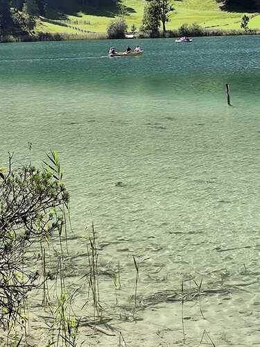 IMG-20260902-WA0001
