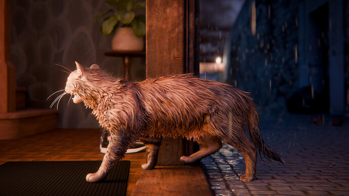 No_Place_Like_Meow
