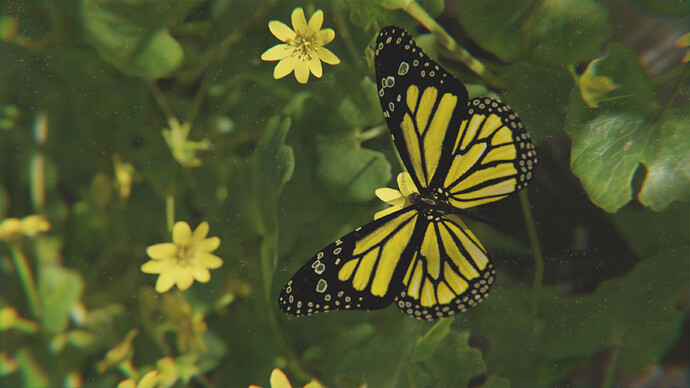 butterfly render