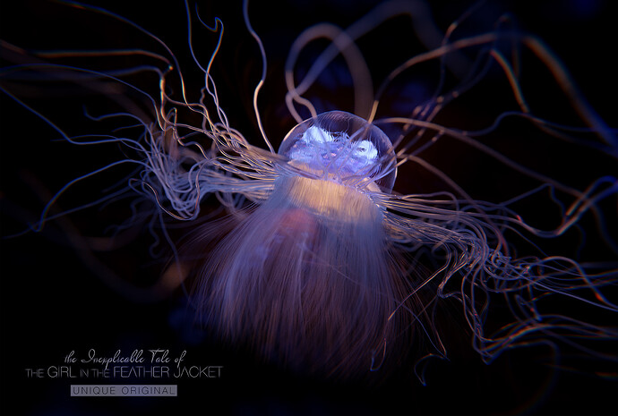 Jellyfish-C