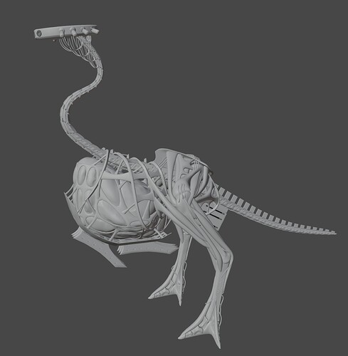 Body 04