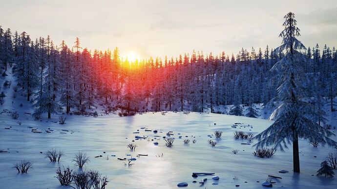 Winter Forest 16