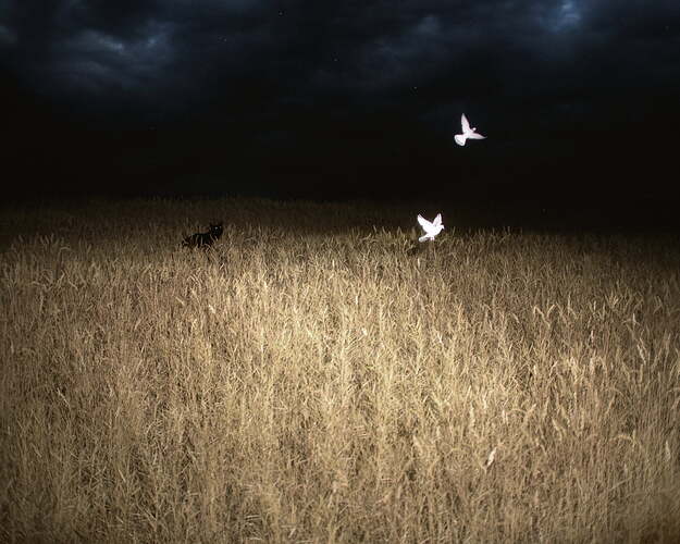 WhenNightComesAlong-DavidZerba