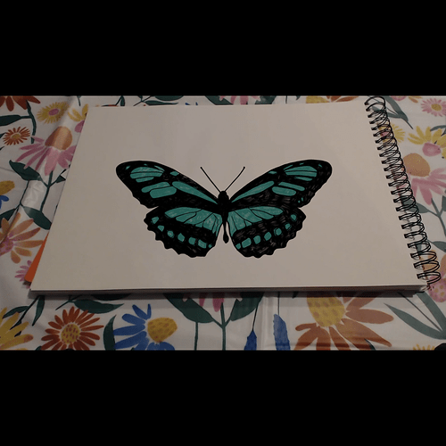 papillon