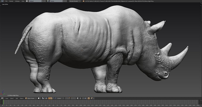 Rhino_03