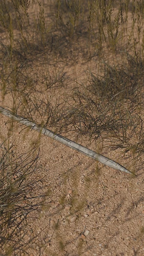 spear laying on the dirt amid sparse grass