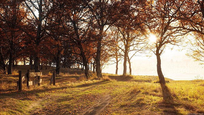 On_The_Way_Home