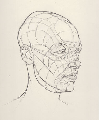 head-sketch-drawover