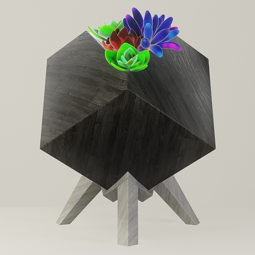 isometric cube planter and succulents 1 shot 1.jpg