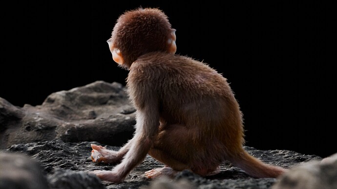 Baby monkey3