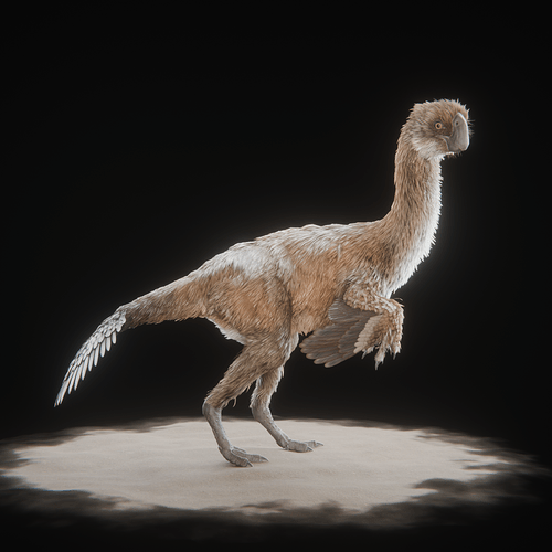 female_0001