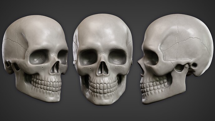 Skull 13