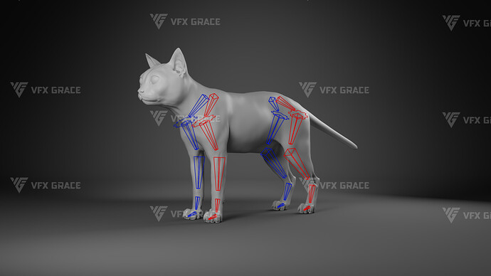JF0O740A_BritishShorthair_Rig03