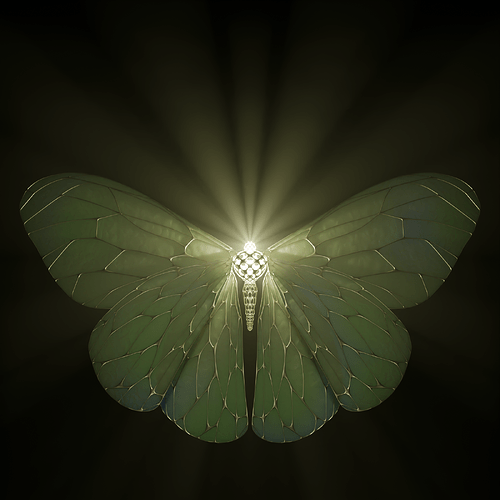 Alex_Vainboim: Moth light