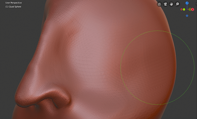 First_Nose_Without_Reference_45_Degree