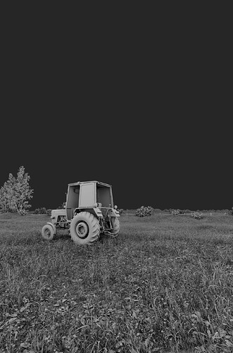 AO3