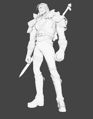 Witcher Topo