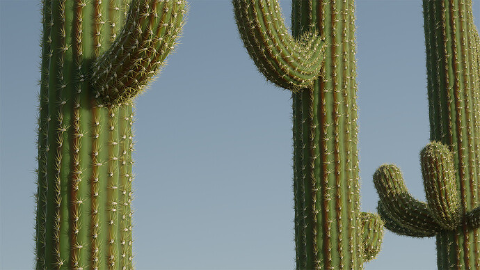 2023_1210_saguaro_002