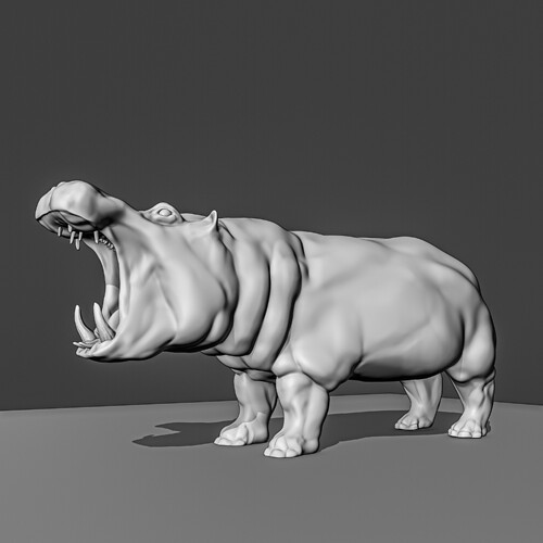 hippo_step4