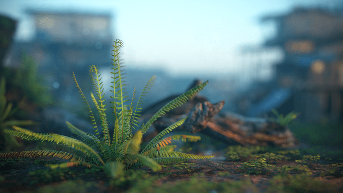 fin fern