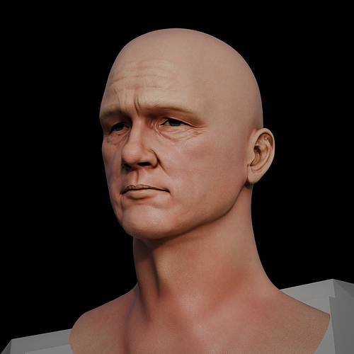 F1 Brad Pitt 07 head test