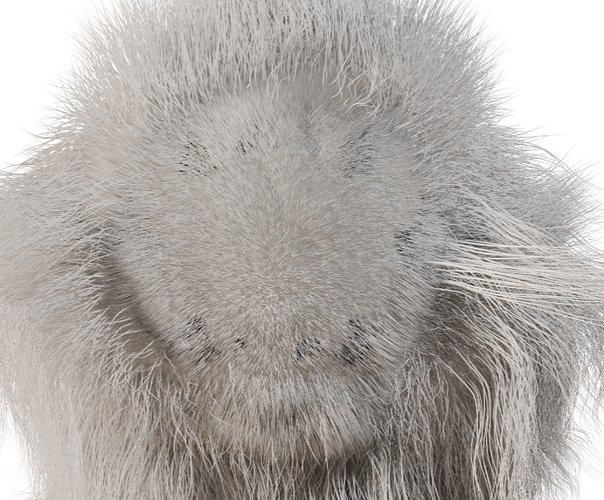 HairTest_Rendered