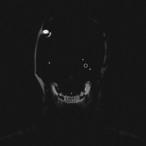 skull_add_02