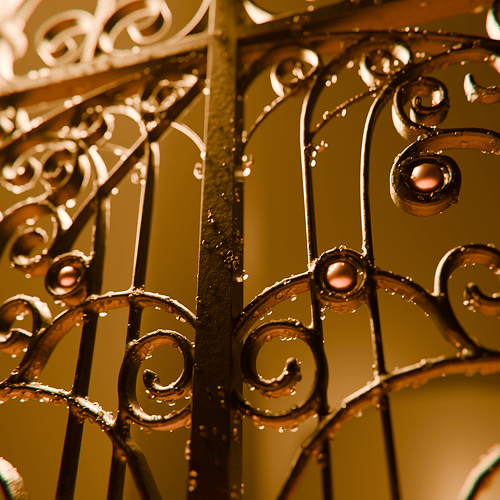 fence