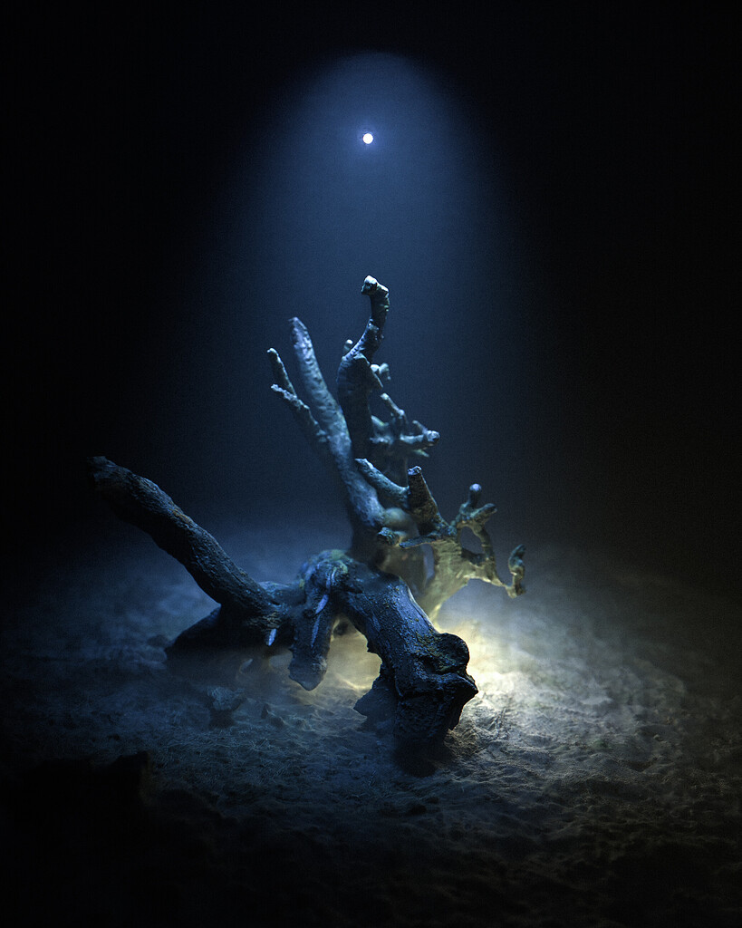 tree-root-abduction-finished-projects-blender-artists-community