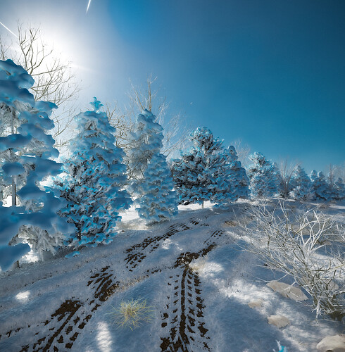 Winter Scene 2k