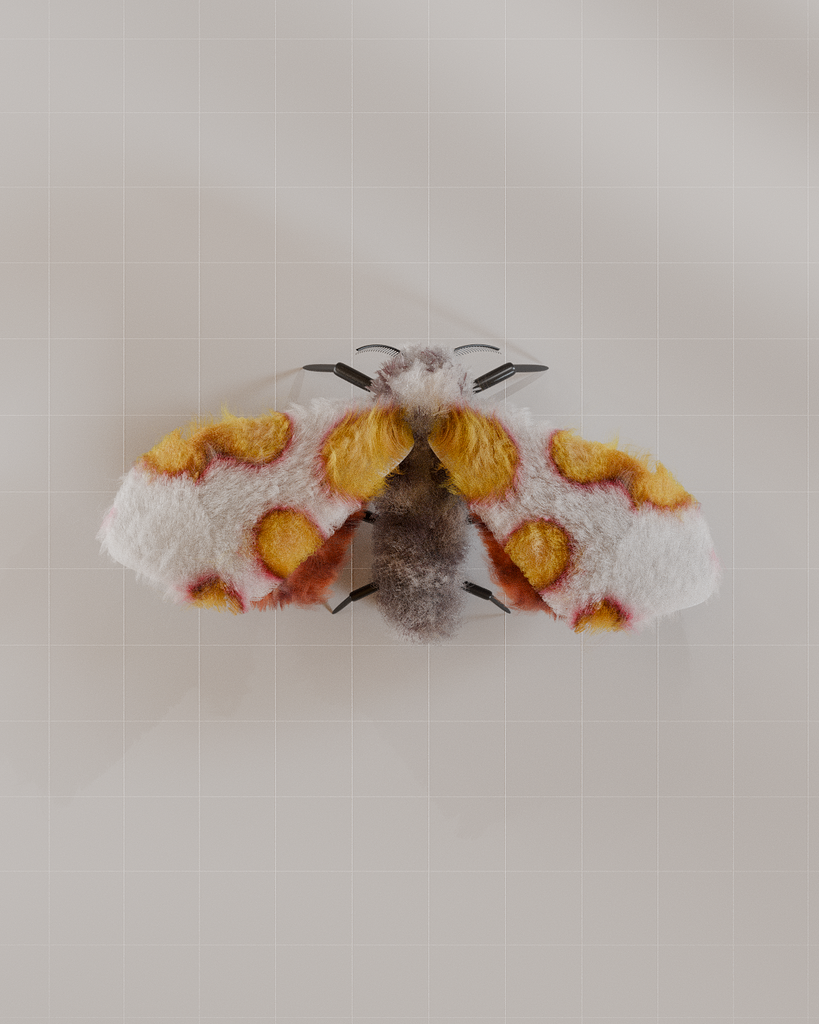 Moth Sound Animation Fantasy Moth - Animations - Blender Artists Community