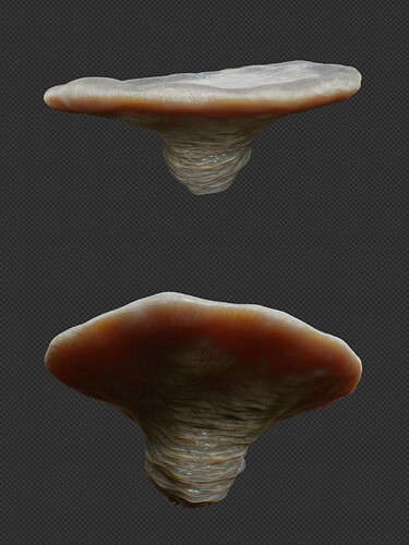 Fungus_asset