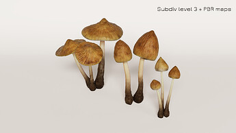 Mushroom_3-03