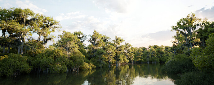 rainforest003