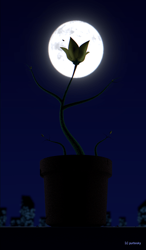 MoonDancer_purbosky