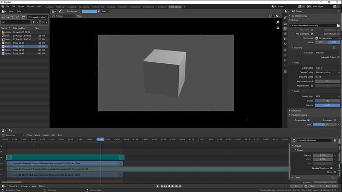 No audio with video rendering - Compositing and Post Processing ...